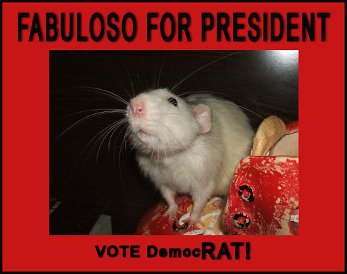 Fabuloso for President